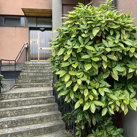 Settebello